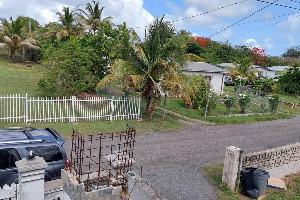 Conveniently Located, Quiet & Amp; Comfortable Christiansted Zewnętrze zdjęcie